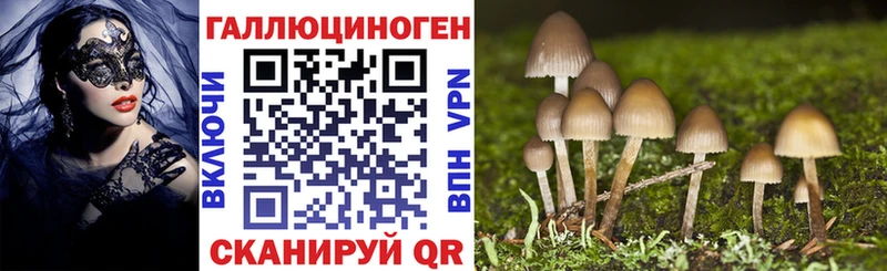 Псилоцибиновые грибы MAGIC MUSHROOMS Фрязино
