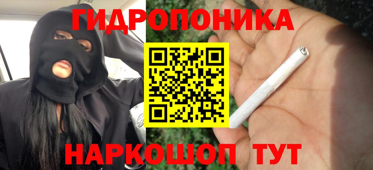 Канабис гибрид Фрязино