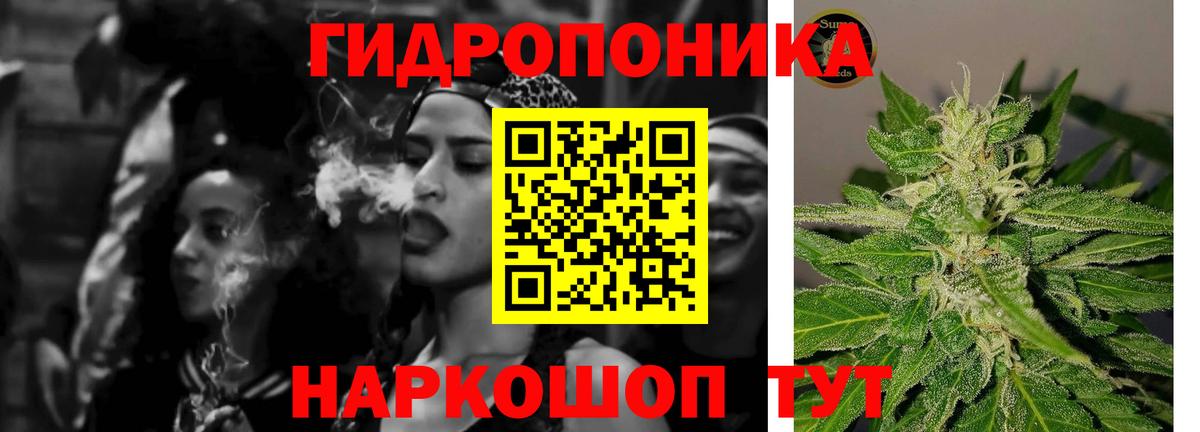 Меф Фрязино